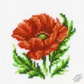 Poppy (RTO - H167)