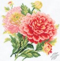 Dahlias (RTO - M075)