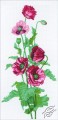 Poppies by RTO - M081