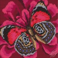 Cushion With Butterfly II by Collection D'Art - 5078