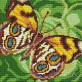 Cushion With Butterfly III by Collection D'Art - 5080