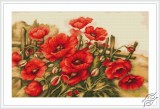 Poppies of Field by Luca-S - B490