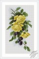 Yellow Roses With Plums by Luca-S - B2230