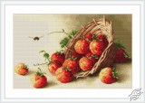 Basket with Strawberries by Luca-S - B497