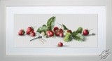 Etude with Strawberries by Luca-S - B2254