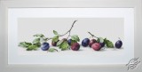 Still Life With Plums by Luca-S - B2257