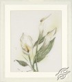 Calla by Lanarte - PN-0008015