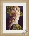 Owl by Lanarte - PN-0146814