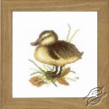 Duckling II by Lanarte - PN-0146978