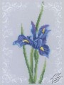 Iris Blue by RTO - C155