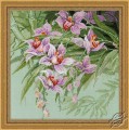 Tropical Orchids by RIOLIS - 1401