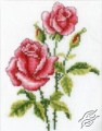 Roses by RTO - C185