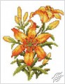 Lilies by RTO - C186