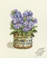 Purple Violets by RTO - C190