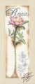 Pink Rose by Lanarte - PN-0154334
