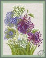 Allium by RIOLIS - 1484
