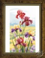 Irises at Dawn by Vervaco - PN-0148482
