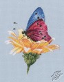 Butterfly on the Flower by RTO - M751