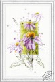 Echinacea by Magic Needle - 100-101