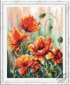 Poppies in the Morning Light by Magic Needle - 40-72