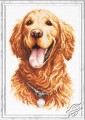 Golden Retriever by Magic Needle - 59-24