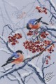 Bullfinches in Rowanberries by RTO - M578