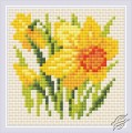 Yellow Narcissus by RIOLIS - AM0032