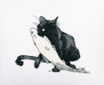 Among black cats by RTO - M665