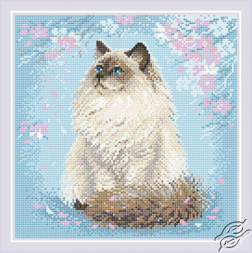 Meow-Zen